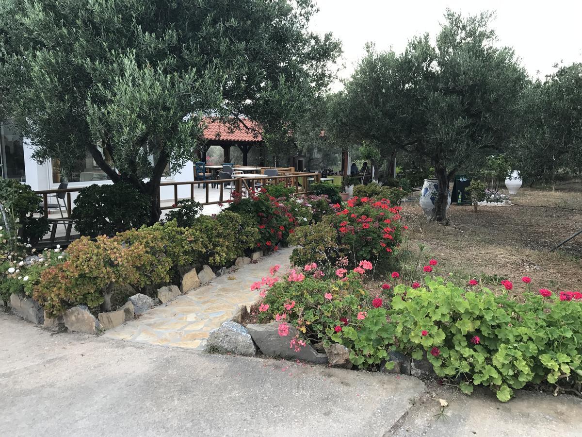 Tholos Rooms Kavousi  Exterior photo